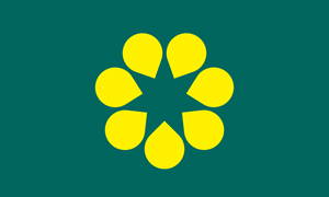 Golden Wattle flag